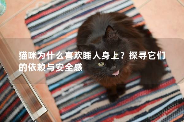 猫咪为什么喜欢睡人身上？探寻它们的依赖与安全感