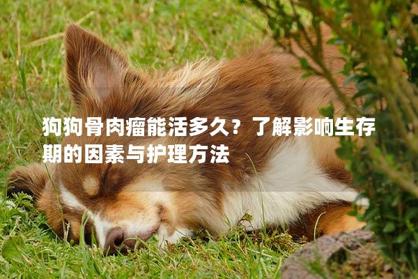 狗狗骨肉瘤能活多久？了解影响生存期的因素与护理方法