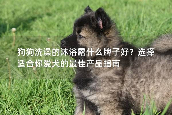 狗狗洗澡的沐浴露什么牌子好？选择适合你爱犬的最佳产品指南