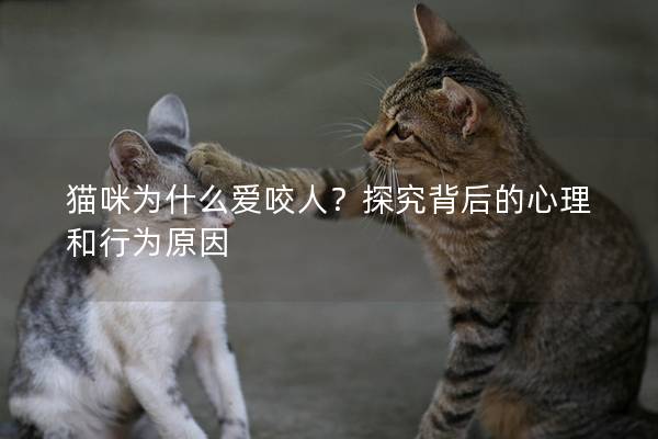 猫咪为什么爱咬人？探究背后的心理和行为原因