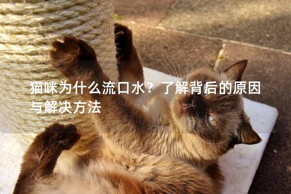 猫咪为什么流口水？了解背后的原因与解决方法