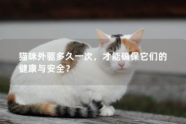 猫咪外驱多久一次，才能确保它们的健康与安全？