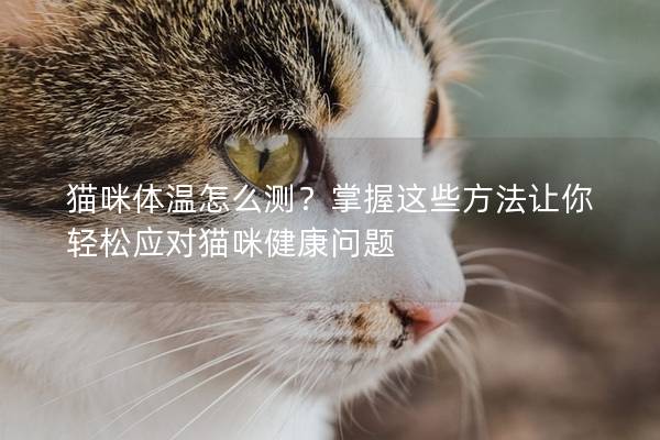 猫咪体温怎么测？掌握这些方法让你轻松应对猫咪健康问题