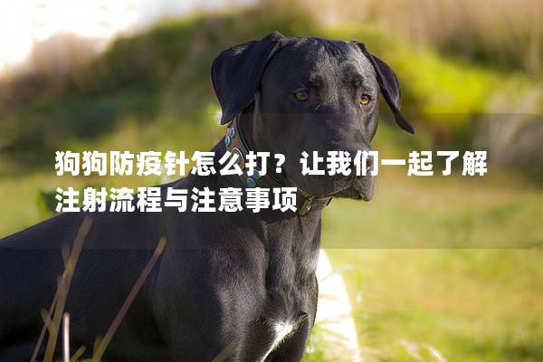 狗狗防疫针怎么打？让我们一起了解注射流程与注意事项