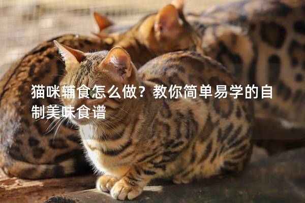 猫咪辅食怎么做？教你简单易学的自制美味食谱