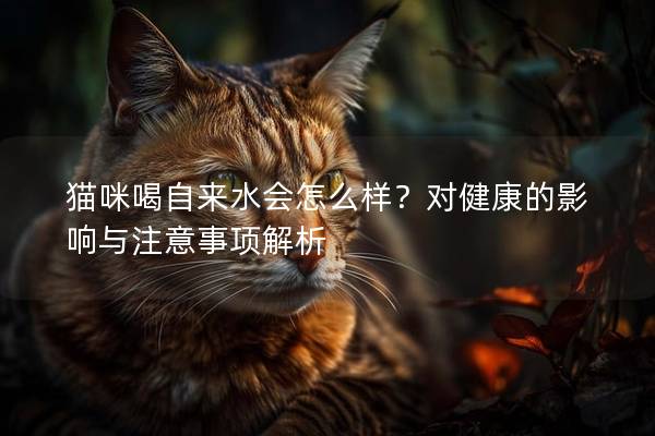 猫咪喝自来水会怎么样？对健康的影响与注意事项解析