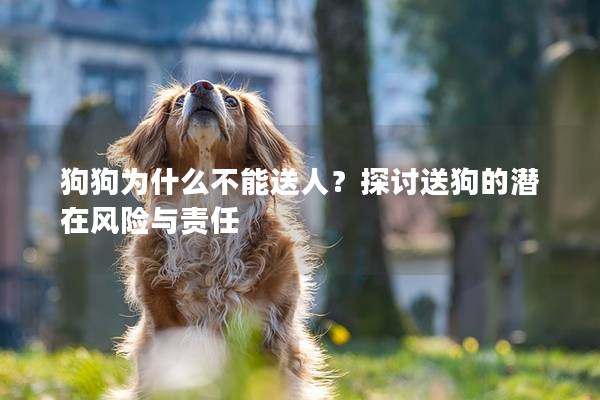 狗狗为什么不能送人？探讨送狗的潜在风险与责任