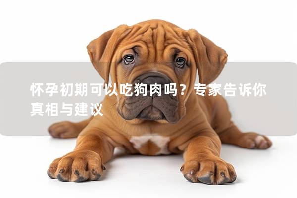 怀孕初期可以吃狗肉吗？专家告诉你真相与建议