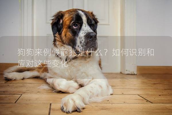 狗狗来例假前兆是什么？如何识别和应对这些变化