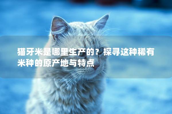 猫牙米是哪里生产的？探寻这种稀有米种的原产地与特点