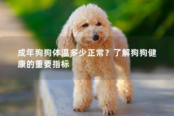 成年狗狗体温多少正常？了解狗狗健康的重要指标