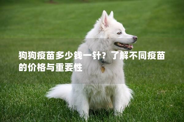 狗狗疫苗多少钱一针？了解不同疫苗的价格与重要性