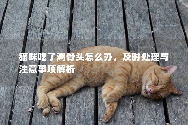 猫咪吃了鸡骨头怎么办，及时处理与注意事项解析