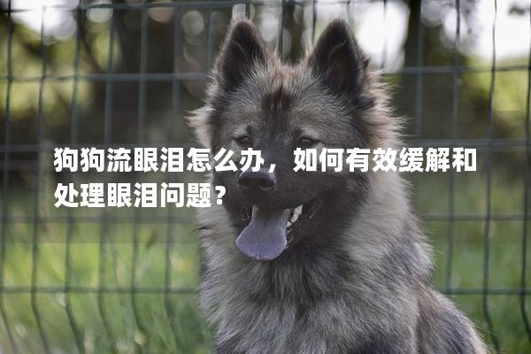 狗狗流眼泪怎么办，如何有效缓解和处理眼泪问题？