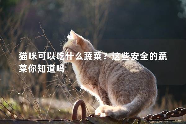 猫咪可以吃什么蔬菜？这些安全的蔬菜你知道吗