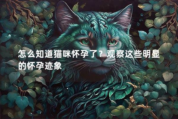 怎么知道猫咪怀孕了？观察这些明显的怀孕迹象