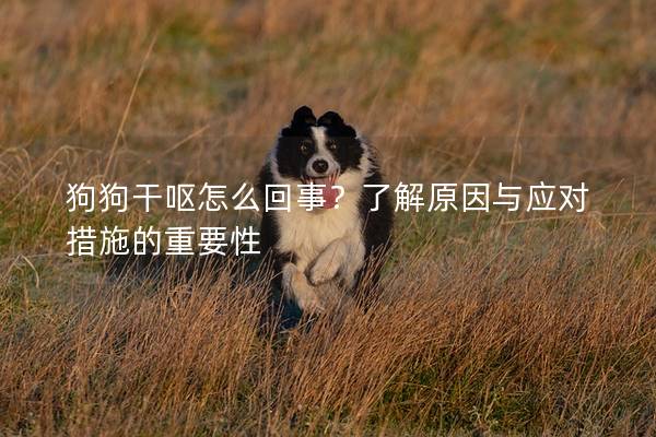 狗狗干呕怎么回事？了解原因与应对措施的重要性