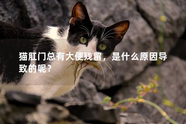 猫肛门总有大便残留，是什么原因导致的呢？