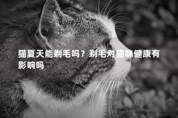 猫夏天能剃毛吗？剃毛对猫咪健康有影响吗