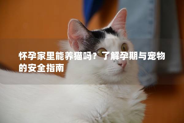 怀孕家里能养猫吗？了解孕期与宠物的安全指南