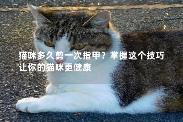 猫咪多久剪一次指甲？掌握这个技巧让你的猫咪更健康