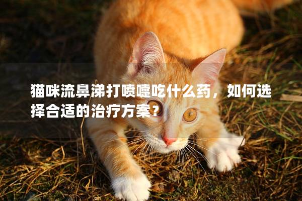 猫咪流鼻涕打喷嚏吃什么药，如何选择合适的治疗方案？