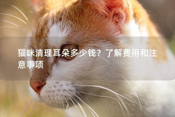 猫咪清理耳朵多少钱？了解费用和注意事项