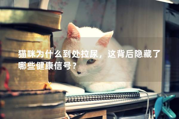 猫咪为什么到处拉尿，这背后隐藏了哪些健康信号？