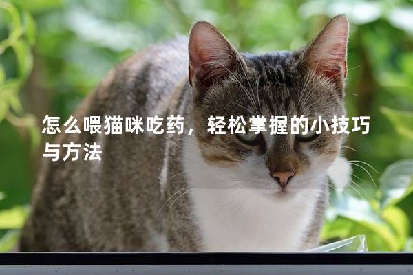 怎么喂猫咪吃药，轻松掌握的小技巧与方法