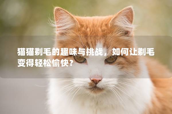 猫猫剃毛的趣味与挑战，如何让剃毛变得轻松愉快？