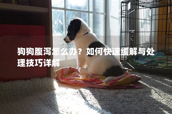 狗狗腹泻怎么办？如何快速缓解与处理技巧详解