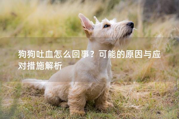 狗狗吐血怎么回事？可能的原因与应对措施解析