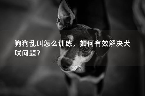 狗狗乱叫怎么训练，如何有效解决犬吠问题？