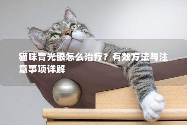 猫咪青光眼怎么治疗？有效方法与注意事项详解