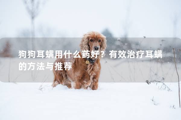 狗狗耳螨用什么药好？有效治疗耳螨的方法与推荐