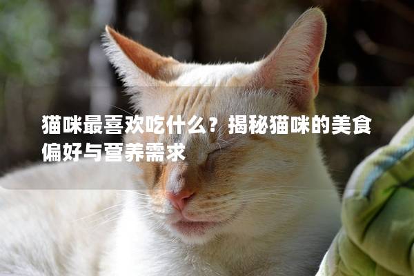 猫咪最喜欢吃什么？揭秘猫咪的美食偏好与营养需求