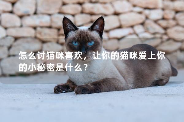 怎么讨猫咪喜欢，让你的猫咪爱上你的小秘密是什么？