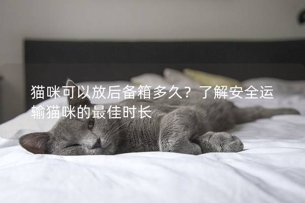 猫咪可以放后备箱多久？了解安全运输猫咪的最佳时长