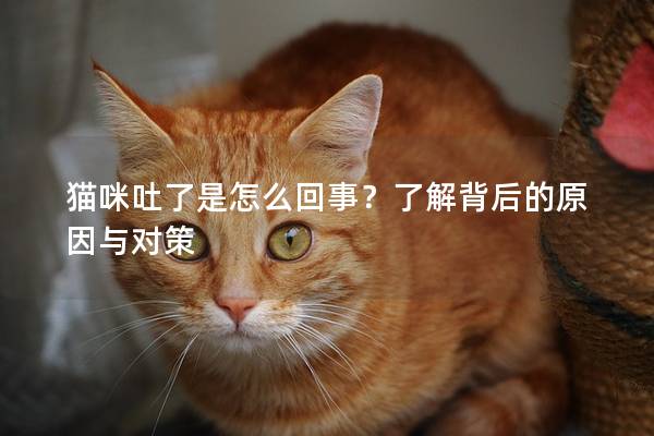 猫咪吐了是怎么回事？了解背后的原因与对策