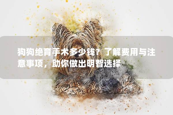 狗狗绝育手术多少钱？了解费用与注意事项，助你做出明智选择