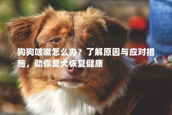 狗狗咳嗽怎么办？了解原因与应对措施，助你爱犬恢复健康