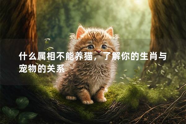 什么属相不能养猫，了解你的生肖与宠物的关系