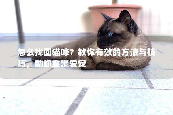 怎么找回猫咪？教你有效的方法与技巧，助你重聚爱宠