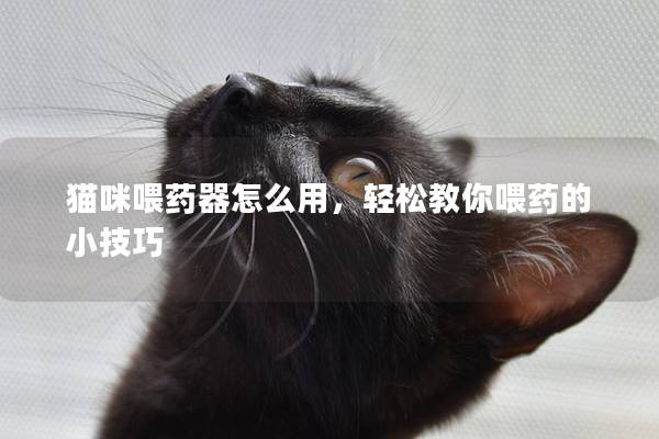 猫咪喂药器怎么用，轻松教你喂药的小技巧