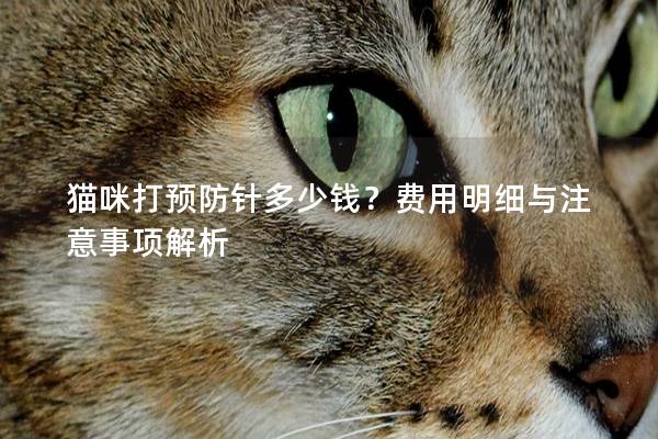 猫咪打预防针多少钱？费用明细与注意事项解析