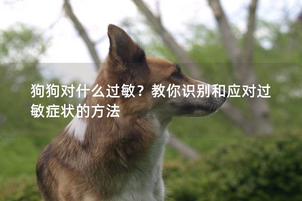 狗狗对什么过敏？教你识别和应对过敏症状的方法