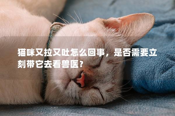 猫咪又拉又吐怎么回事，是否需要立刻带它去看兽医？