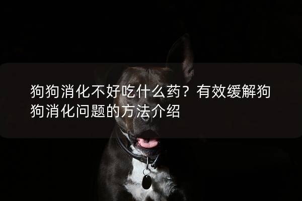 狗狗消化不好吃什么药？有效缓解狗狗消化问题的方法介绍