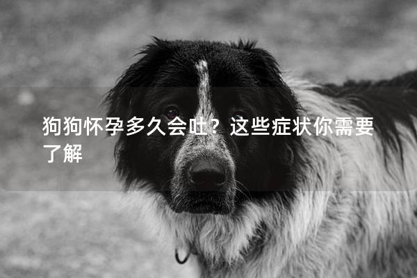 狗狗怀孕多久会吐？这些症状你需要了解