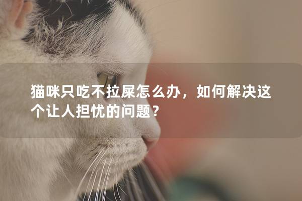 猫咪只吃不拉屎怎么办，如何解决这个让人担忧的问题？